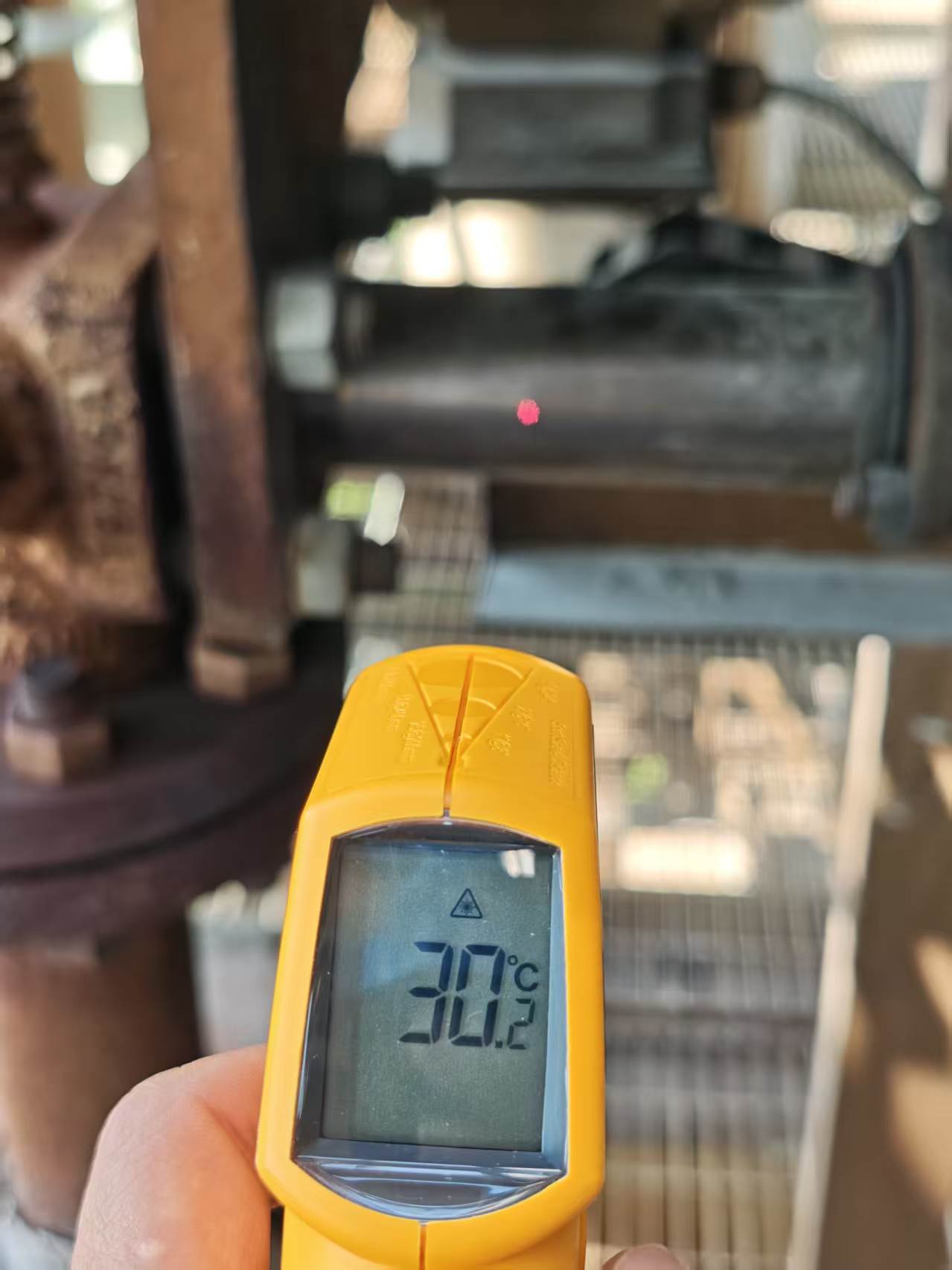 测温照片示例
